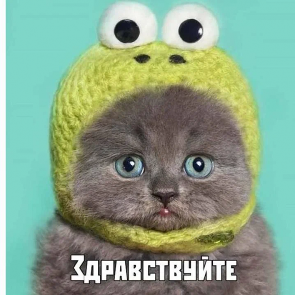 Файл:Orig.png