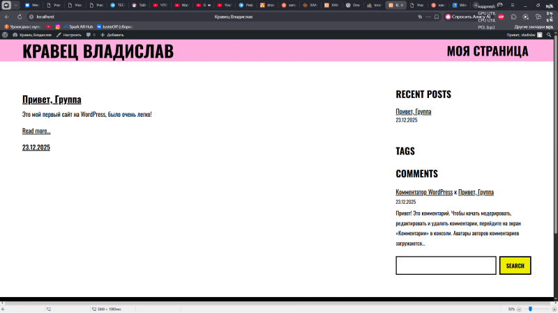 Файл:WordPress .png